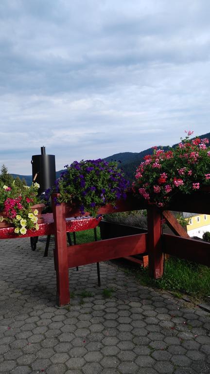 Penzion Lesni Pramen Pec pod Snezkou Exteriör bild